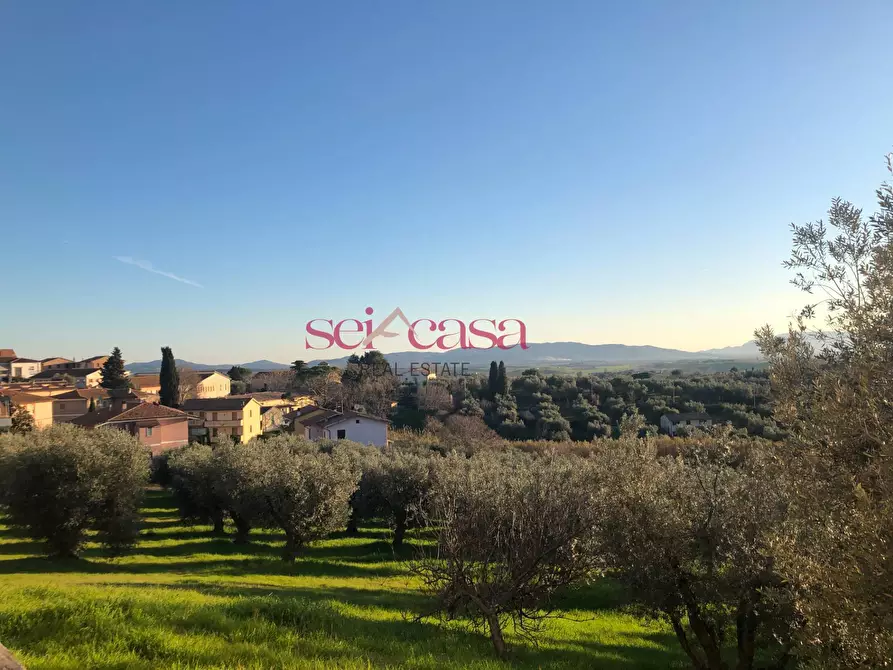 Immagine 11 di Appartamento in vendita  a Magliano In Toscana