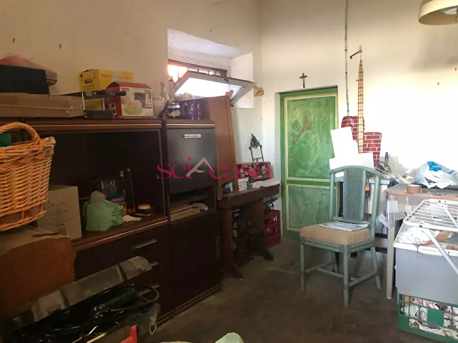 Immagine 12 di Appartamento in vendita  a Magliano In Toscana