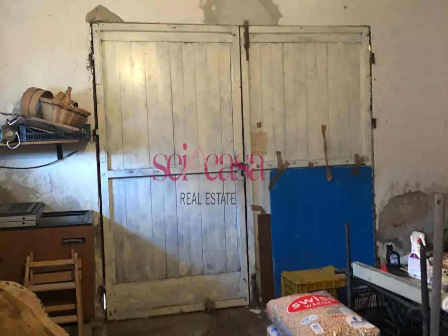 Immagine 13 di Appartamento in vendita  a Magliano In Toscana