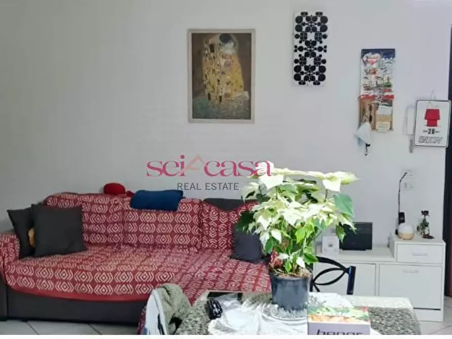 Immagine 4 di Appartamento in vendita  a Roccastrada