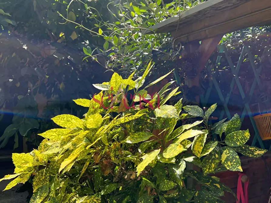 Immagine 51 di Villa in vendita  a Grosseto