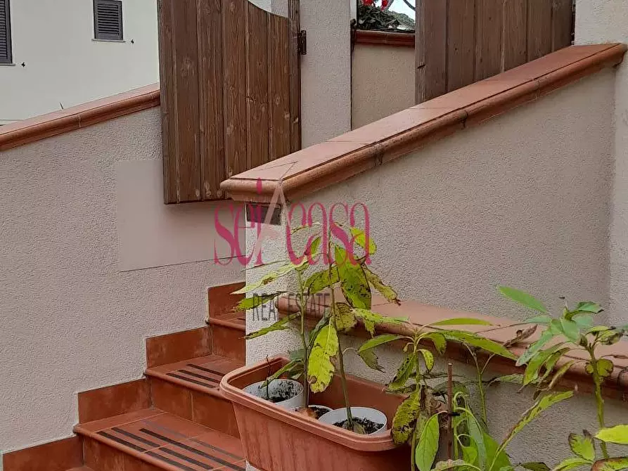 Immagine 31 di Casa indipendente in vendita  a Grosseto