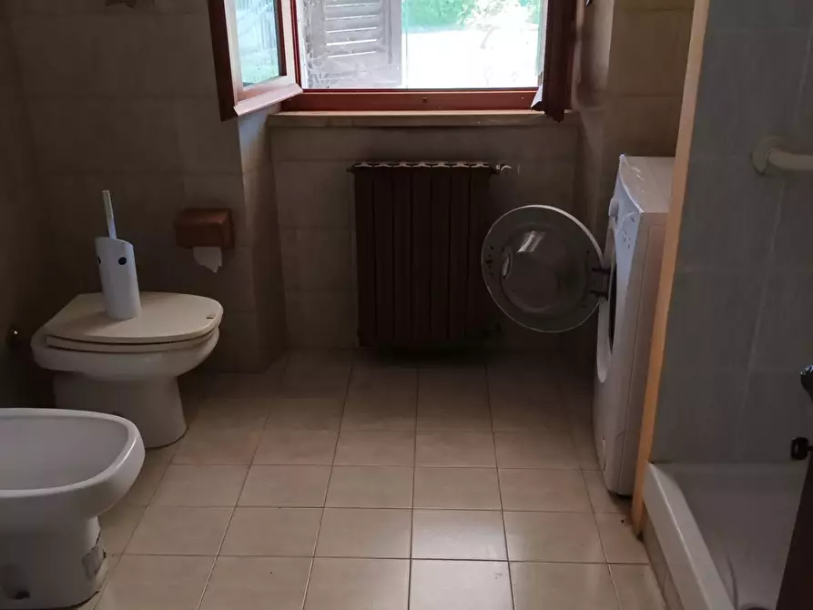 Immagine 4 di Appartamento in vendita  a Campagnatico