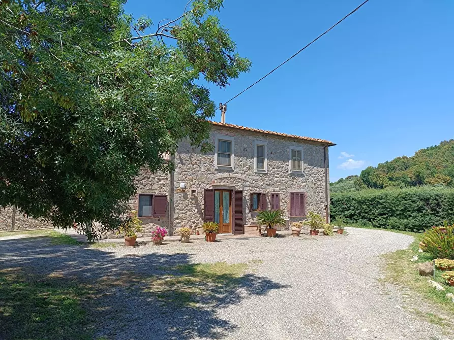 Immagine 3 di Rustico / casale in vendita  a Roccastrada