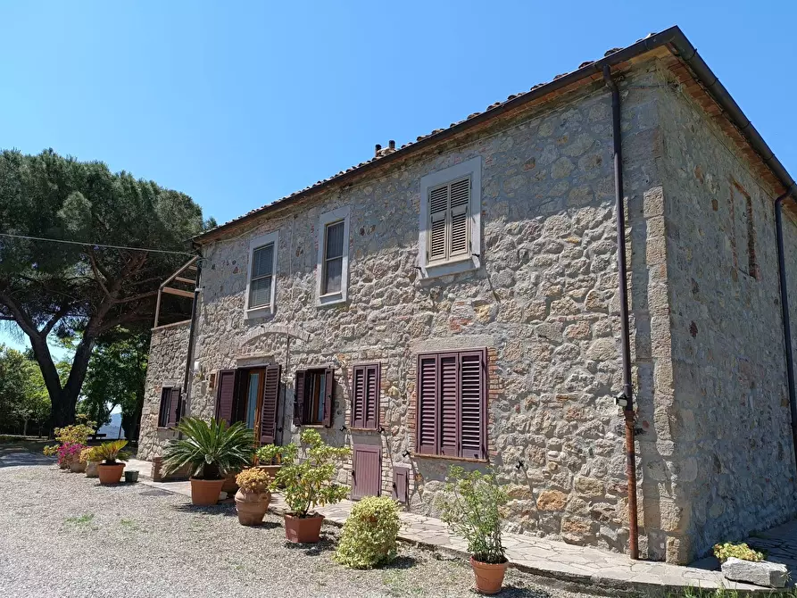 Immagine 5 di Rustico / casale in vendita  a Roccastrada