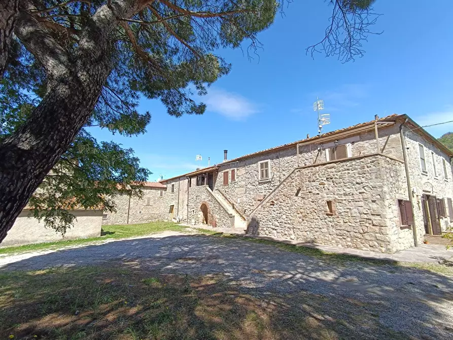 Immagine 6 di Rustico / casale in vendita  a Roccastrada