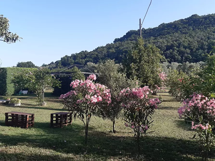 Immagine 9 di Rustico / casale in vendita  a Roccastrada