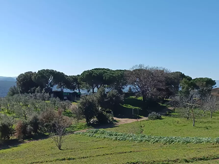 Immagine 14 di Rustico / casale in vendita  a Roccastrada