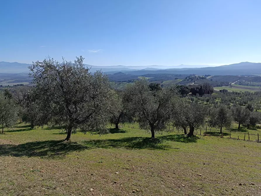 Immagine 15 di Rustico / casale in vendita  a Roccastrada
