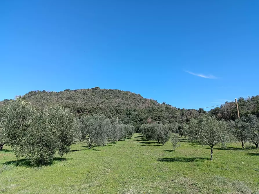 Immagine 18 di Rustico / casale in vendita  a Roccastrada