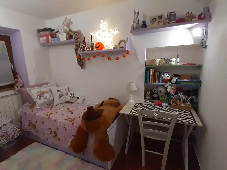 Immagine 22 di Rustico / casale in vendita  a Roccastrada