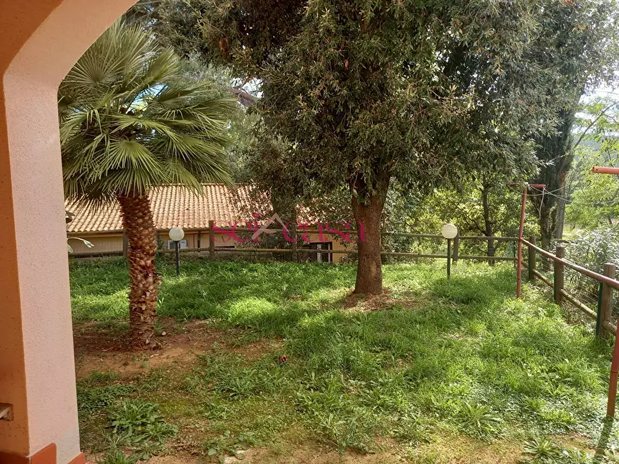 Immagine 5 di Casa semindipendente in vendita  a Magliano In Toscana