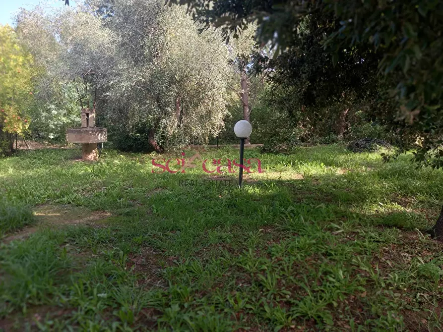 Immagine 8 di Casa semindipendente in vendita  a Magliano In Toscana