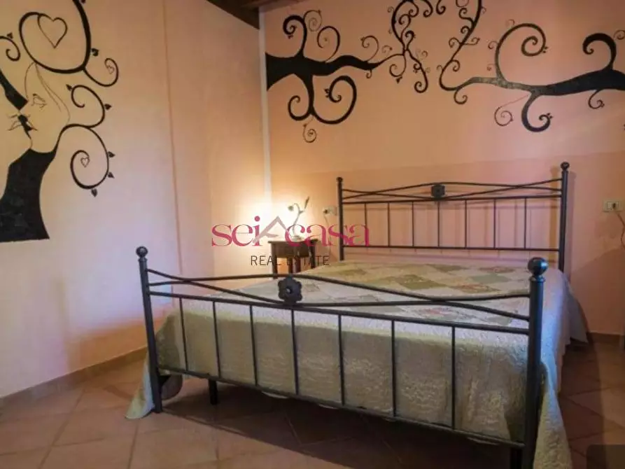 Immagine 11 di Agriturismo in vendita  a Grosseto