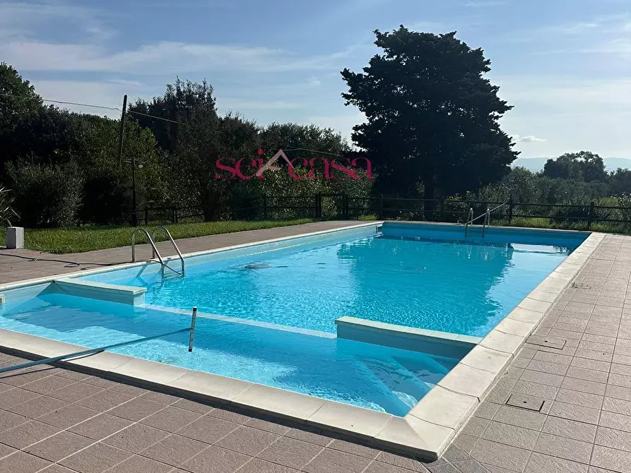 Immagine 23 di Agriturismo in vendita  a Grosseto