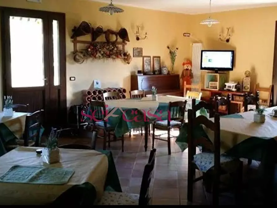 Immagine 18 di Agriturismo in vendita  a Grosseto