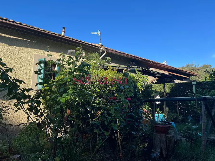 Immagine 3 di Rustico / casale in vendita  a Scansano