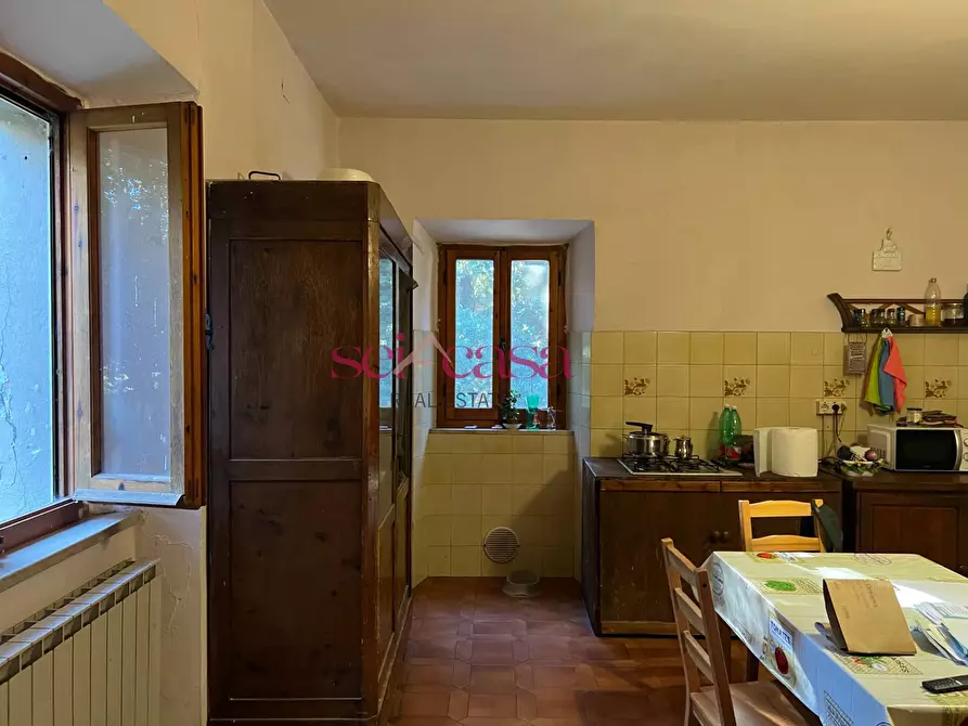 Immagine 31 di Rustico / casale in vendita  a Scansano