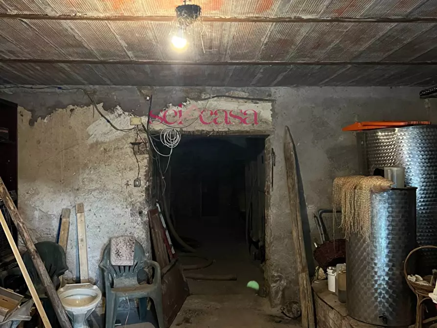 Immagine 36 di Rustico / casale in vendita  a Scansano