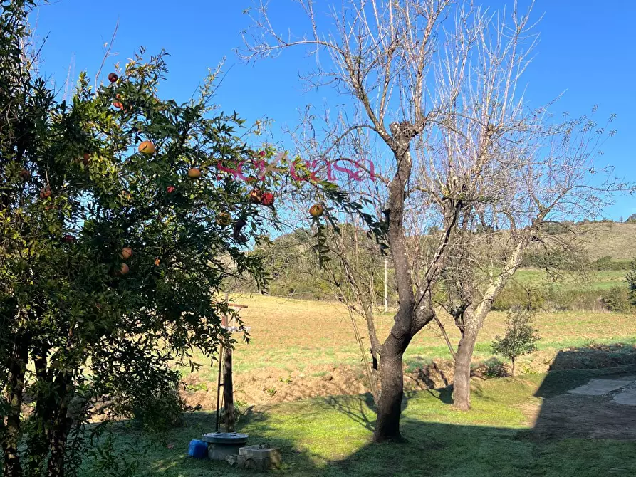 Immagine 39 di Rustico / casale in vendita  a Scansano