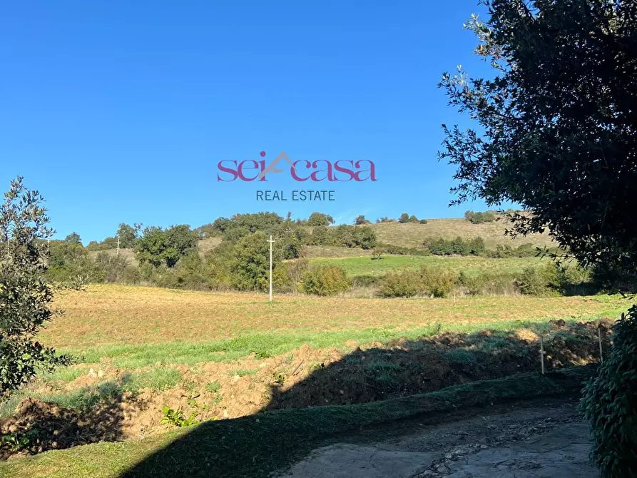 Immagine 41 di Rustico / casale in vendita  a Scansano