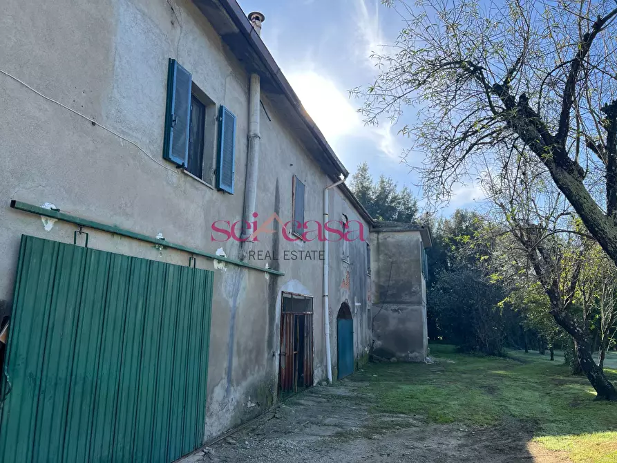 Immagine 42 di Rustico / casale in vendita  a Scansano