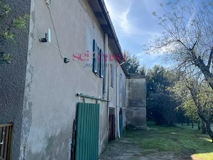 Immagine 43 di Rustico / casale in vendita  a Scansano