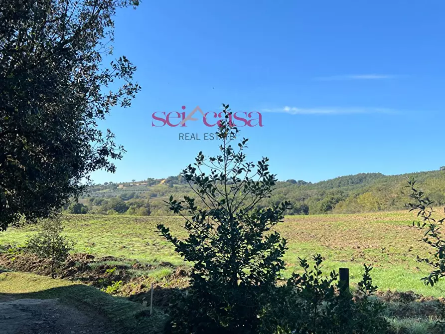 Immagine 10 di Rustico / casale in vendita  a Scansano