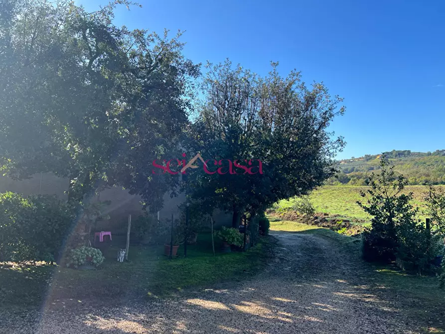 Immagine 44 di Rustico / casale in vendita  a Scansano