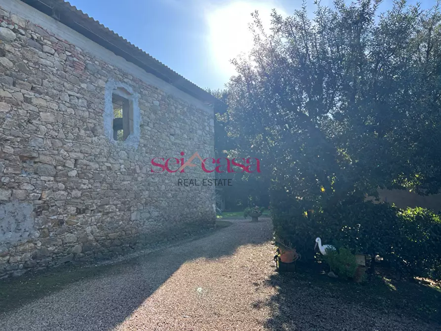 Immagine 45 di Rustico / casale in vendita  a Scansano