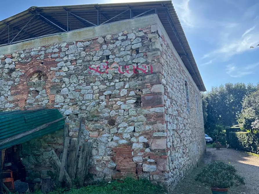 Immagine 46 di Rustico / casale in vendita  a Scansano