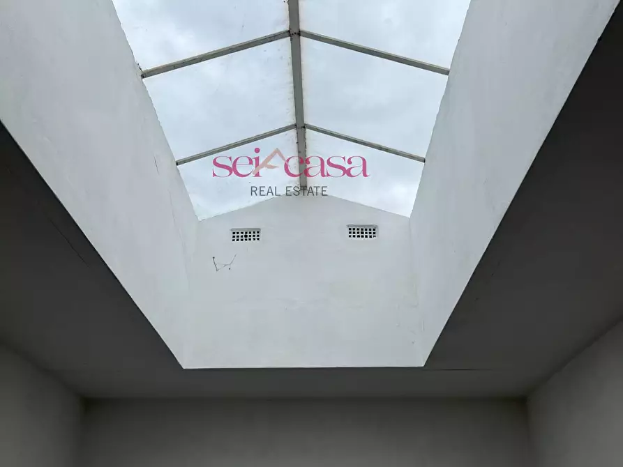 Immagine 31 di Appartamento in vendita  a Grosseto