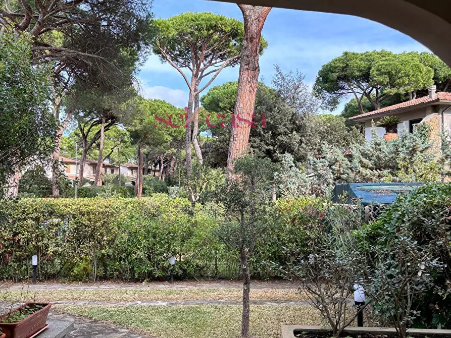 Immagine 3 di Casa indipendente in vendita  a Grosseto