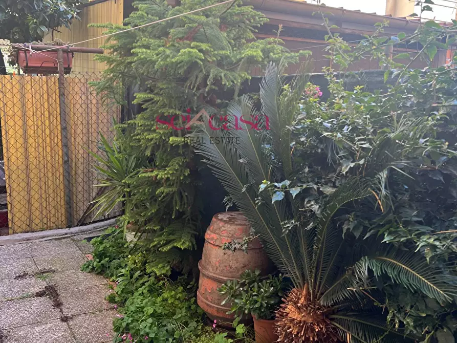 Immagine 21 di Appartamento in vendita  a Grosseto