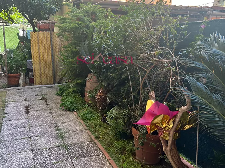 Immagine 19 di Appartamento in vendita  a Grosseto