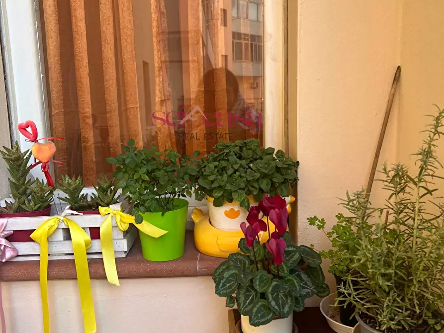 Immagine 15 di Appartamento in vendita  a Grosseto