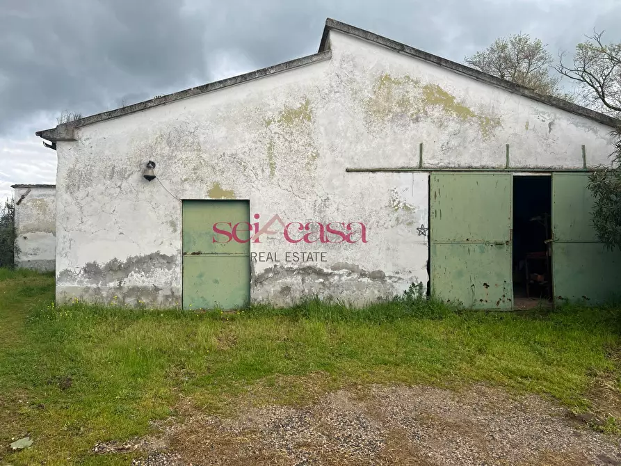 Immagine 19 di Rustico / casale in vendita  a Roccastrada