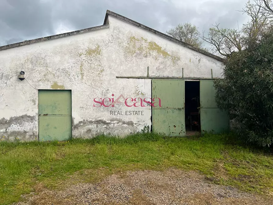 Immagine 20 di Rustico / casale in vendita  a Roccastrada