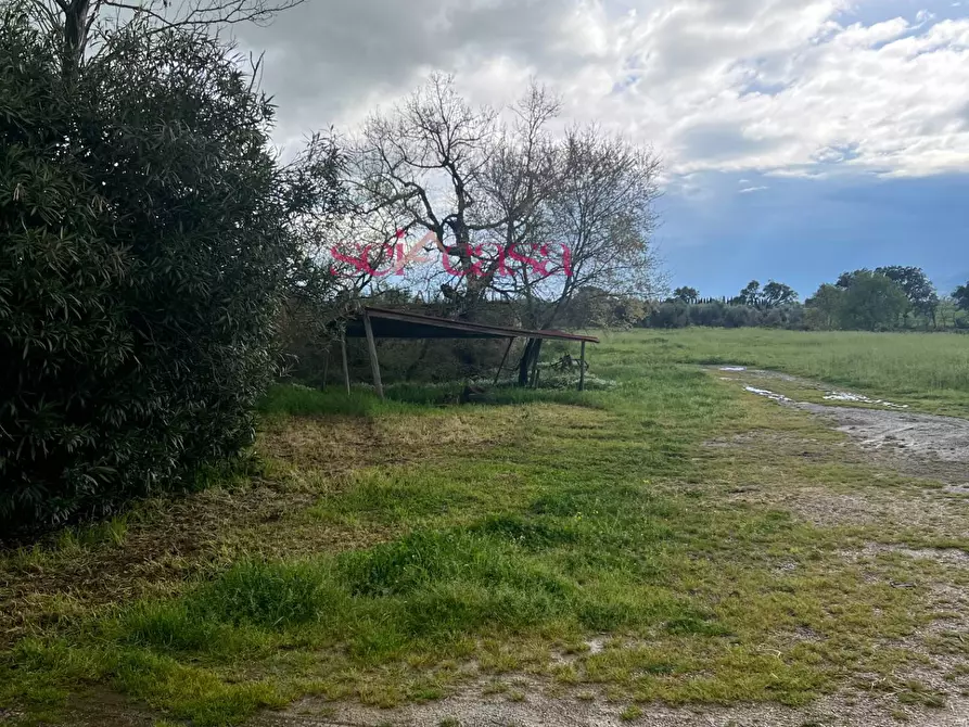 Immagine 21 di Rustico / casale in vendita  a Roccastrada