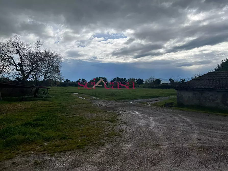 Immagine 22 di Rustico / casale in vendita  a Roccastrada