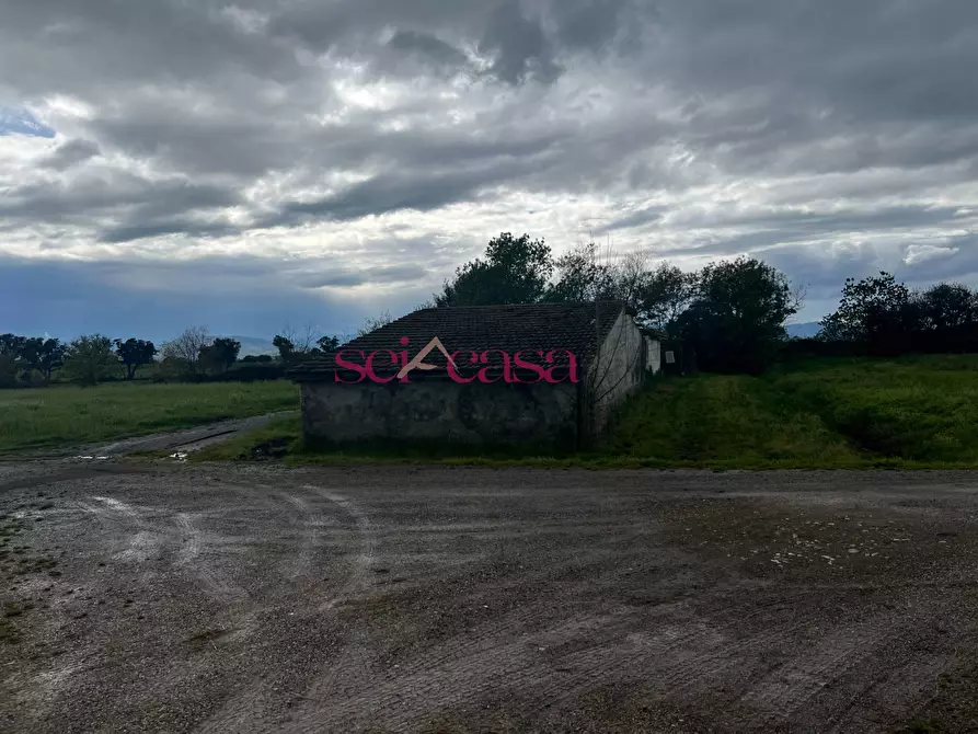 Immagine 23 di Rustico / casale in vendita  a Roccastrada