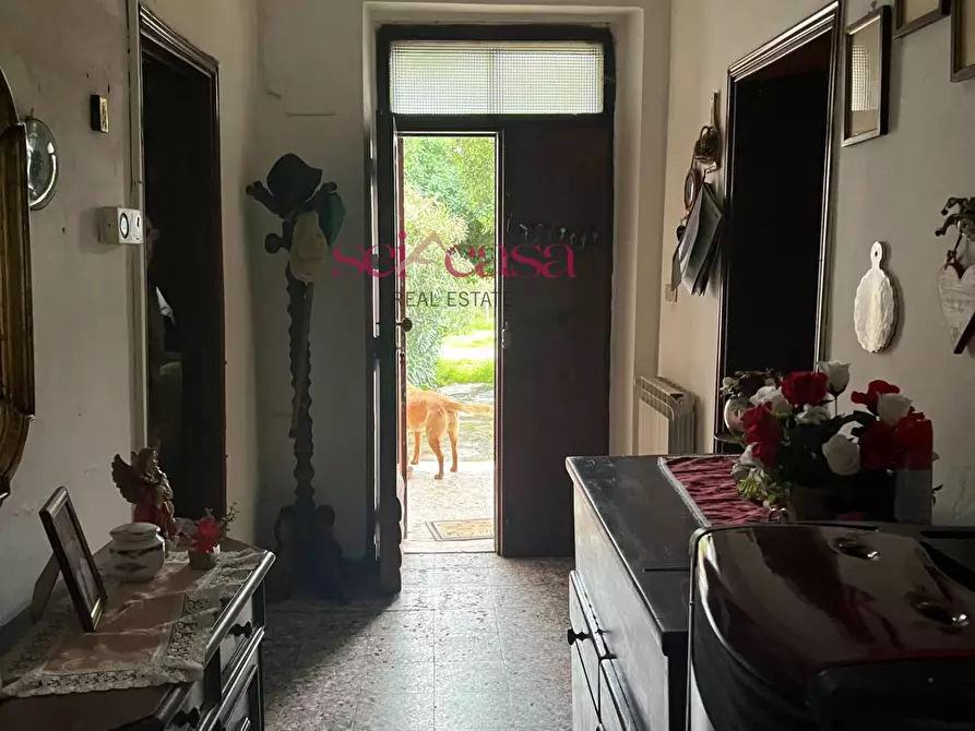 Immagine 17 di Rustico / casale in vendita  a Roccastrada