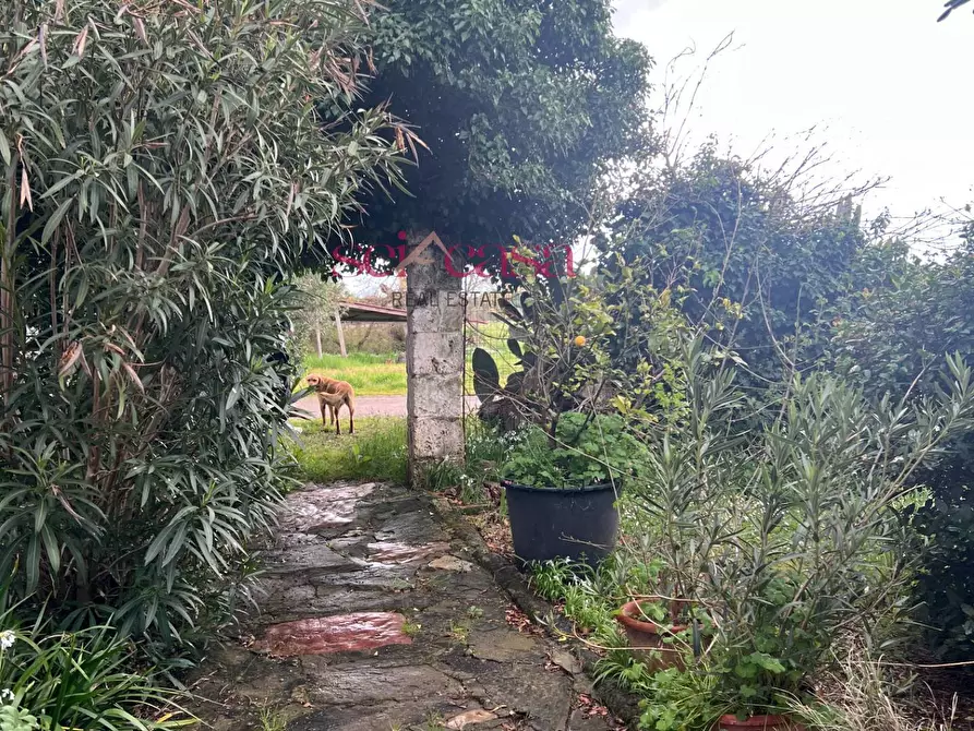 Immagine 9 di Rustico / casale in vendita  a Roccastrada