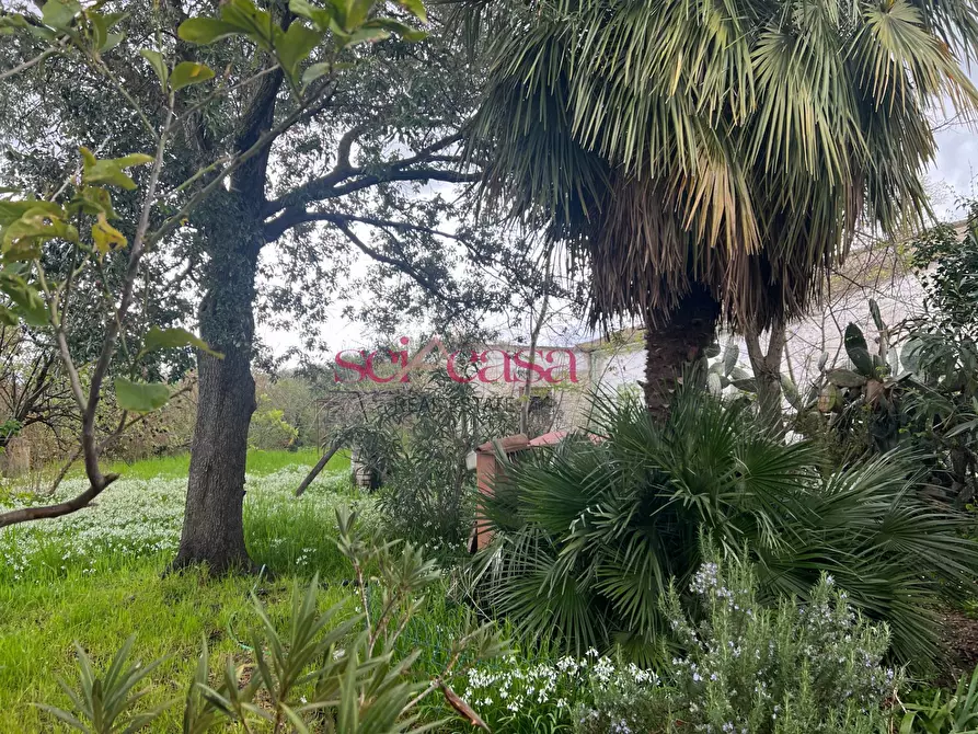 Immagine 5 di Rustico / casale in vendita  a Roccastrada