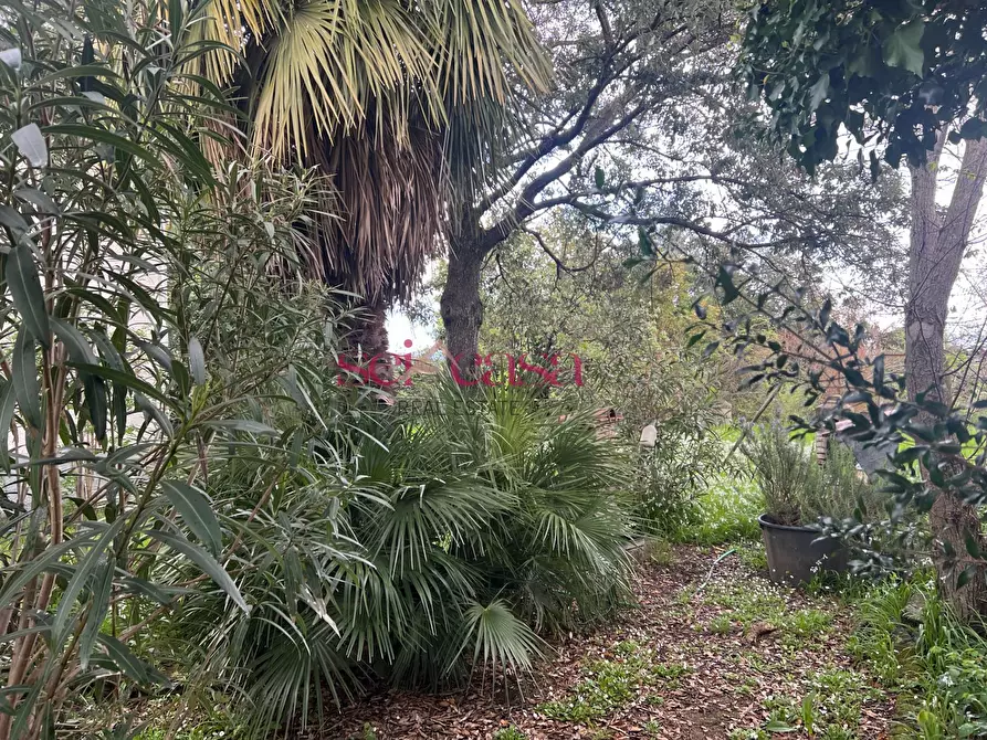 Immagine 4 di Rustico / casale in vendita  a Roccastrada