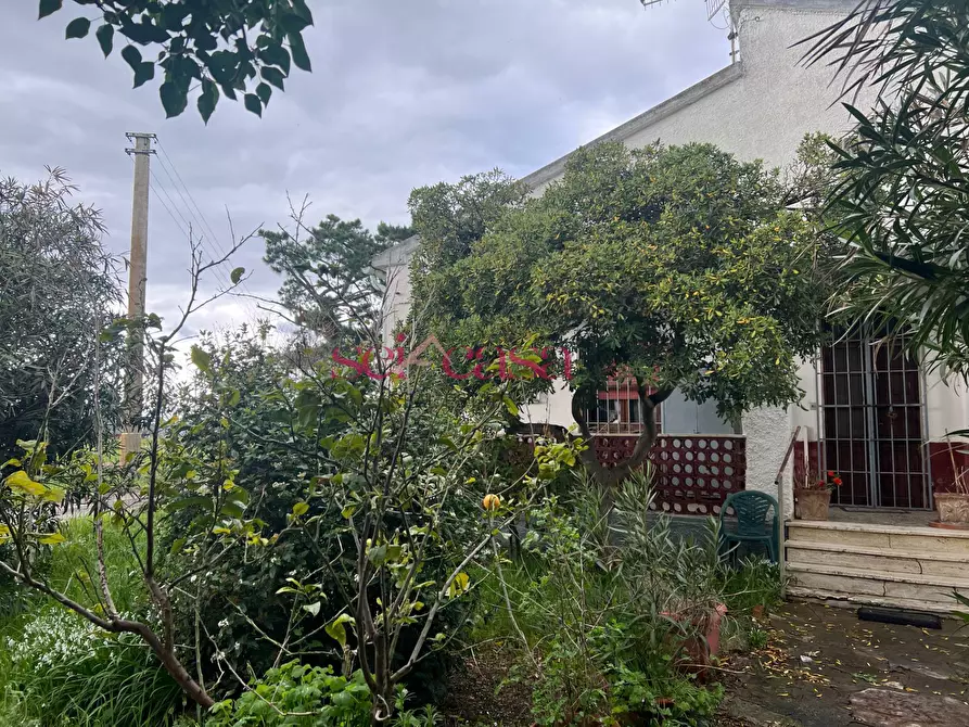 Immagine 6 di Rustico / casale in vendita  a Roccastrada