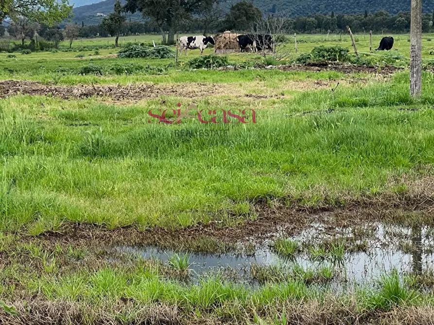 Immagine 24 di Rustico / casale in vendita  a Roccastrada