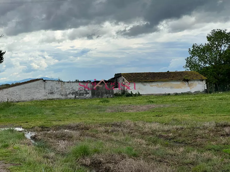 Immagine 25 di Rustico / casale in vendita  a Roccastrada
