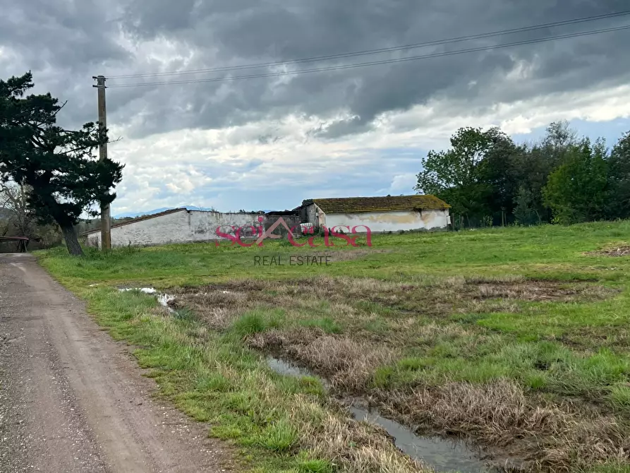 Immagine 26 di Rustico / casale in vendita  a Roccastrada