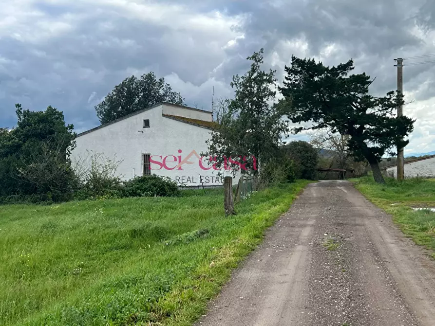 Immagine 18 di Rustico / casale in vendita  a Roccastrada